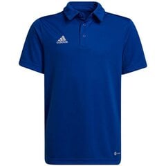 Adidas marškinėliai berniukams Entrada 22 SW785379.8328, mėlyni цена и информация | Рубашки для мальчиков | pigu.lt