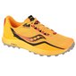 Sportiniai batai vyrams Saucony Peregrine 12 M S2073716 SW8414731347, geltoni kaina ir informacija | Kedai vyrams | pigu.lt