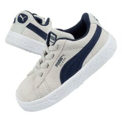 Puma sportiniai batai berniukams Suede SW843509.1275, pilki kaina ir informacija | Sportiniai batai vaikams | pigu.lt