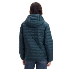 Levi's striukė vyrams SW868553.1899, žalia цена и информация | Мужские куртки | pigu.lt