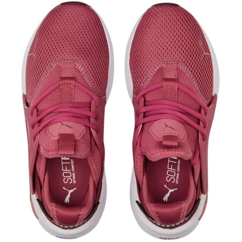 Sportiniai batai moterims Puma Softride Enzo Evo W 377048 05, rožiniai цена и информация | Sportiniai bateliai, kedai moterims | pigu.lt