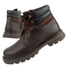 Žieminiai batai vyrams Caterpillar Quadrate sw881793.2679, rudi цена и информация | Мужские ботинки | pigu.lt