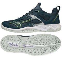 Rankinio batai moterims Mizuno SW886841.8175, mėlyni цена и информация | Спортивная обувь, кроссовки для женщин | pigu.lt