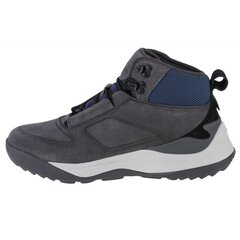 Žieminiai batai vyrams 4F Tundra Boots M 4FAW22FWINM010-22S, pilki цена и информация | Мужские ботинки | pigu.lt