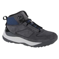Žieminiai batai vyrams 4F Tundra Boots M 4FAW22FWINM010-22S, pilki цена и информация | Мужские ботинки | pigu.lt
