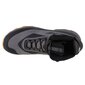 Žygio batai vyrams 4F Ice Cracker M 4FAW22FOTSM004-22S, pilki цена и информация | Vyriški batai | pigu.lt
