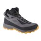 Žygio batai vyrams 4F Ice Cracker M 4FAW22FOTSM004-22S, pilki kaina ir informacija | Vyriški batai | pigu.lt