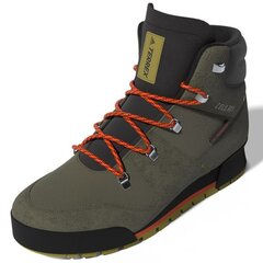 Žygio batai vyrams Adidas Terrex Snowpitch C.Rdy M GW4065, pilki цена и информация | Мужские ботинки | pigu.lt