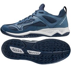 Rankinio batai vyrams Mizuno SW909226.2683, mėlyni цена и информация | Кроссовки для мужчин | pigu.lt