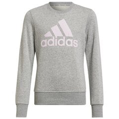 Adidas džemperis mergaitėms Big logo sw SW920794.8484, pilkas kaina ir informacija | Megztiniai, bluzonai, švarkai mergaitėms | pigu.lt