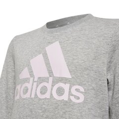 Adidas džemperis mergaitėms Big logo sw SW920794.8484, pilkas kaina ir informacija | Megztiniai, bluzonai, švarkai mergaitėms | pigu.lt