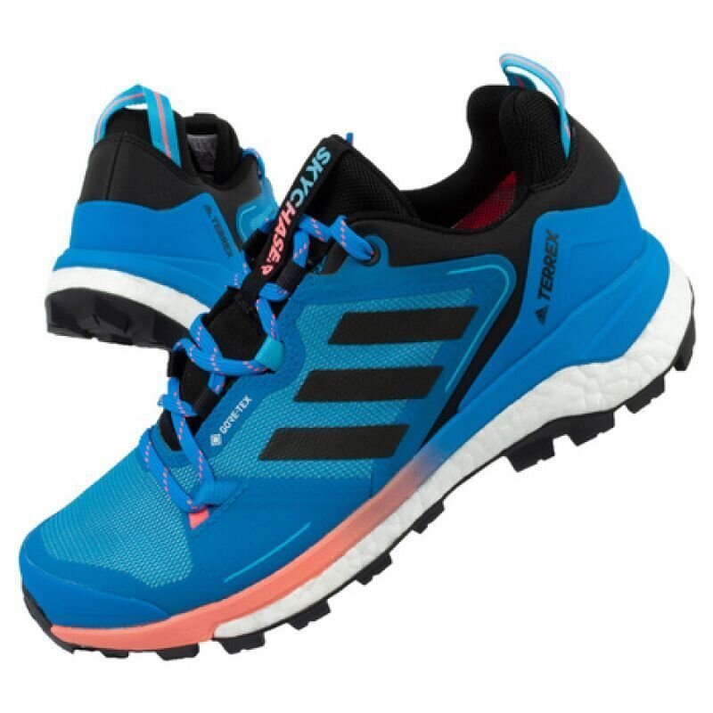 Batai vyrams Adidas Terrex Skychaser M sw922465.9523, mėlyni kaina ir informacija | Vyriški batai | pigu.lt
