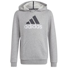 Adidas džemperis berniukams Big logo 2 hoody SW926415.8331, pilkas цена и информация | Свитеры, жилетки, пиджаки для мальчиков | pigu.lt
