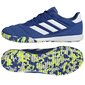 Futbolo batai vyrams Adidas Copa Gloro sw928338.8209, mėlyni цена и информация | Kedai vyrams | pigu.lt