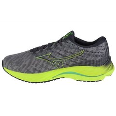 Bėgimo batai vyrams Mizuno SW946086.2684, balti цена и информация | Кроссовки для мужчин | pigu.lt