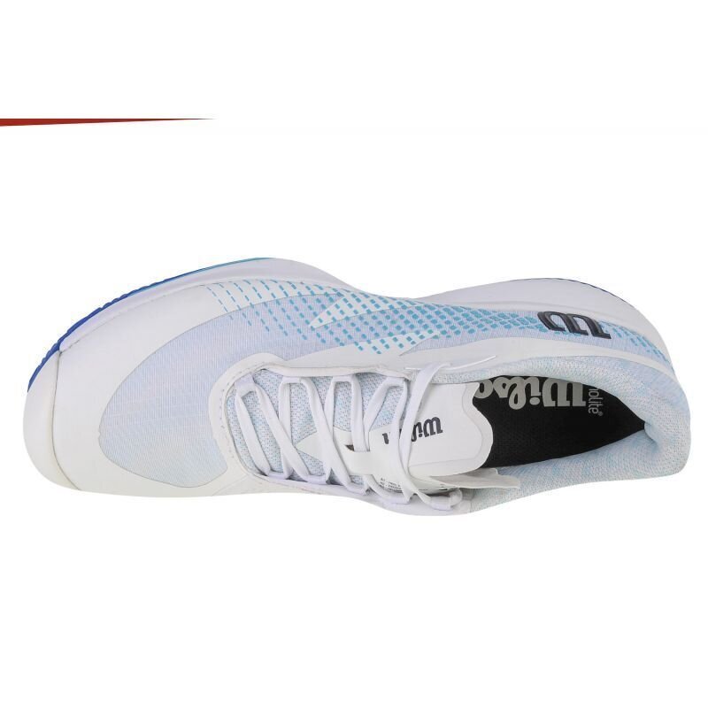 Sportiniai batai vyrams Wilson Kaos Swift 1.5 Clay M sw946189.1347, balti kaina ir informacija | Kedai vyrams | pigu.lt