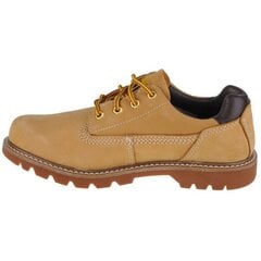 Laisvalaikio batai vyrams Caterpillar, rudi kaina ir informacija | Vyriški batai | pigu.lt