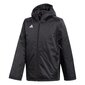 Sriukė berniukams Adidas Core 18 sw328889.8331, juoda kaina ir informacija | Striukės berniukams | pigu.lt