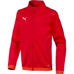 Bluzonas vaikams Puma Liga Junior sw655688 01 sw473758.8325, raudonas цена и информация | Свитеры, жилетки, пиджаки для мальчиков | pigu.lt