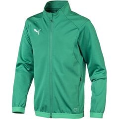 Puma džemperis berniukams League training jacket 655688 05 SW473761.8327, žalias цена и информация | Свитеры, жилетки, пиджаки для мальчиков | pigu.lt