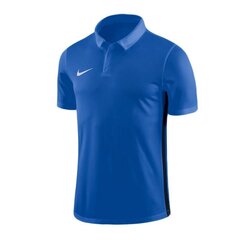 Nike marškinėliai berniukams Dry academy 18 SW479049.8292, mėlyni цена и информация | Рубашки для мальчиков | pigu.lt