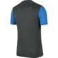 Nike marškinėliai berniukams Dry academy pro to ss BV6947 062 SW581031.1904, mėlyni цена и информация | Marškinėliai berniukams | pigu.lt