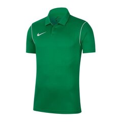 Nike marškinėliai vaikams Dry Park 20 sw587625.8376, žali цена и информация | Рубашки для мальчиков | pigu.lt