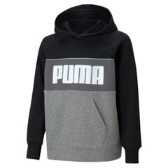 Puma džemperis berniukams Alpha hoodie 585892 01 SW668952.8327, juodas цена и информация | Свитеры, жилетки, пиджаки для мальчиков | pigu.lt