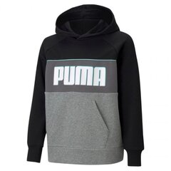 Puma džemperis berniukams Alpha hoodie 585892 01 SW668952.8327, juodas kaina ir informacija | Megztiniai, bluzonai, švarkai berniukams | pigu.lt