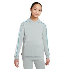 Nike bluzonas mergaitėms nk Dry Academy Hoodie Po Fp sw669567.1903, pilkas kaina ir informacija | Megztiniai, bluzonai, švarkai mergaitėms | pigu.lt