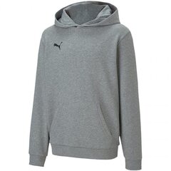 Bluzonas vaikams Puma team goal 23 Casuals Hoody Jr sw745772.6856, pilkas kaina ir informacija | Megztiniai, bluzonai, švarkai mergaitėms | pigu.lt