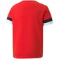 Marškinėliai vaikams Puma team Rise Jr sw746109.6860, raudoni kaina ir informacija | Marškinėliai mergaitėms | pigu.lt