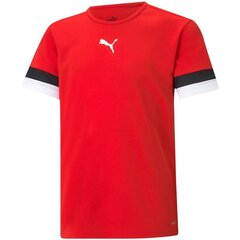 Marškinėliai vaikams Puma team Rise Jr sw746109.6860, raudoni цена и информация | Футболка для девочек | pigu.lt