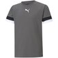 Marškinėliai vaikams Puma teamRise Jr sw746114.6860, pilki цена и информация | Marškinėliai mergaitėms | pigu.lt