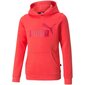 Puma džemperis mergaitėms Ess logo hoodie fl 587031 35 SW761980.8328, oranžinis kaina ir informacija | Megztiniai, bluzonai, švarkai mergaitėms | pigu.lt