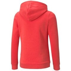 Puma džemperis mergaitėms Ess logo hoodie fl 587031 35 SW761980.8328, oranžinis цена и информация | Свитеры, жилетки, пиджаки для девочек | pigu.lt