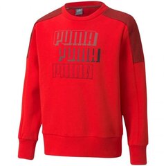 Bluzonas vaikams Puma Alpha Crew FL Jr 589266 11 sw763350.8328, raudonas цена и информация | Свитеры, жилетки, пиджаки для девочек | pigu.lt