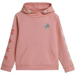 Bluzonas mergaitėms 4F sw775763.8381, rožinis цена и информация | Свитеры, жилетки, пиджаки для девочек | pigu.lt