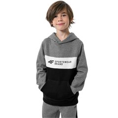 Džemperis berniukams 4F SW8732428326, pilkas kaina ir informacija | Megztiniai, bluzonai, švarkai berniukams | pigu.lt