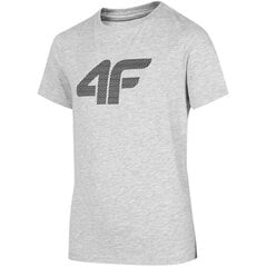 Marškinėliai berniukams 4F sw875930.6478, pilki kaina ir informacija | Marškinėliai berniukams | pigu.lt