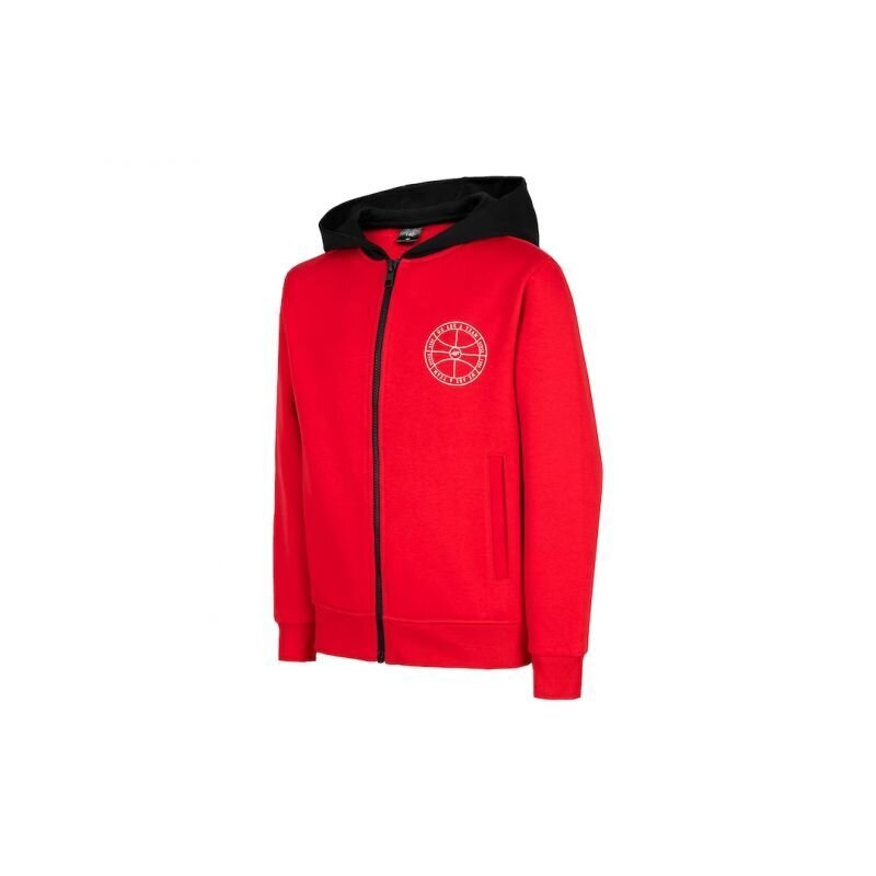 4F džemperis berniukams SW890009.6478, raudonas цена и информация | Megztiniai, bluzonai, švarkai berniukams | pigu.lt