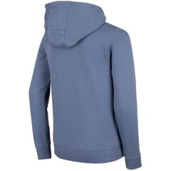 Džemperis berniukams 4F SW8919208367, mėlynas kaina ir informacija | Megztiniai, bluzonai, švarkai berniukams | pigu.lt