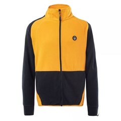 Džemperis berniukams Elbrus Carlow Tb SW9214196856, geltonas kaina ir informacija | Megztiniai, bluzonai, švarkai berniukams | pigu.lt