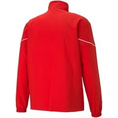 Puma striukė vyrams teamRISE Sideline SW930852.5654, raudona цена и информация | Мужские куртки | pigu.lt