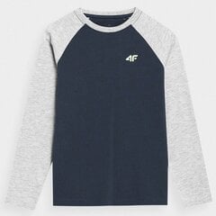 Marškinėliai vaikams 4F sw935774.8293, juodi цена и информация | Рубашки для мальчиков | pigu.lt