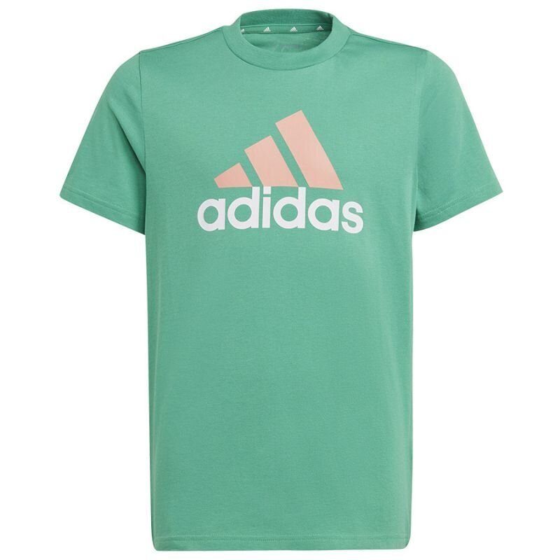 Adidas marškinėliai berniukams Big logo 2 tee SW953391.8331, žali kaina ir informacija | Marškinėliai berniukams | pigu.lt