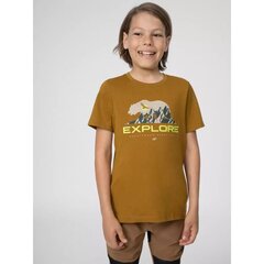 Marškinėliai berniukams 4F SW9535326866, rudi цена и информация | Рубашки для мальчиков | pigu.lt