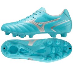 Sportiniai batai vyrams Mizuno P1GA232525, mėlyni цена и информация | Кроссовки для мужчин | pigu.lt