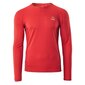 Sportiniai marškinėliai vyrams Elbrus Almar M SW850663.1900, raudoni kaina ir informacija | Sportinė apranga vyrams | pigu.lt