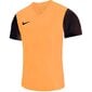 Nike marškinėliai berniukams Dri-fit tiempo premier 2 SW821077.8339, oranžiniai kaina ir informacija | Marškinėliai berniukams | pigu.lt